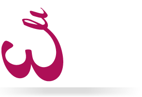 elisa carlini web designer